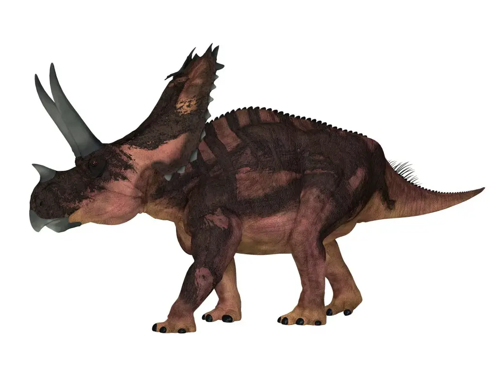 \"Agujaceratops